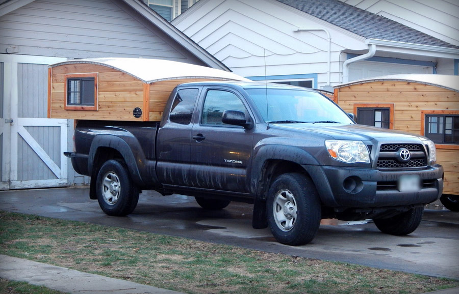 half-shell-casual-turtle-11