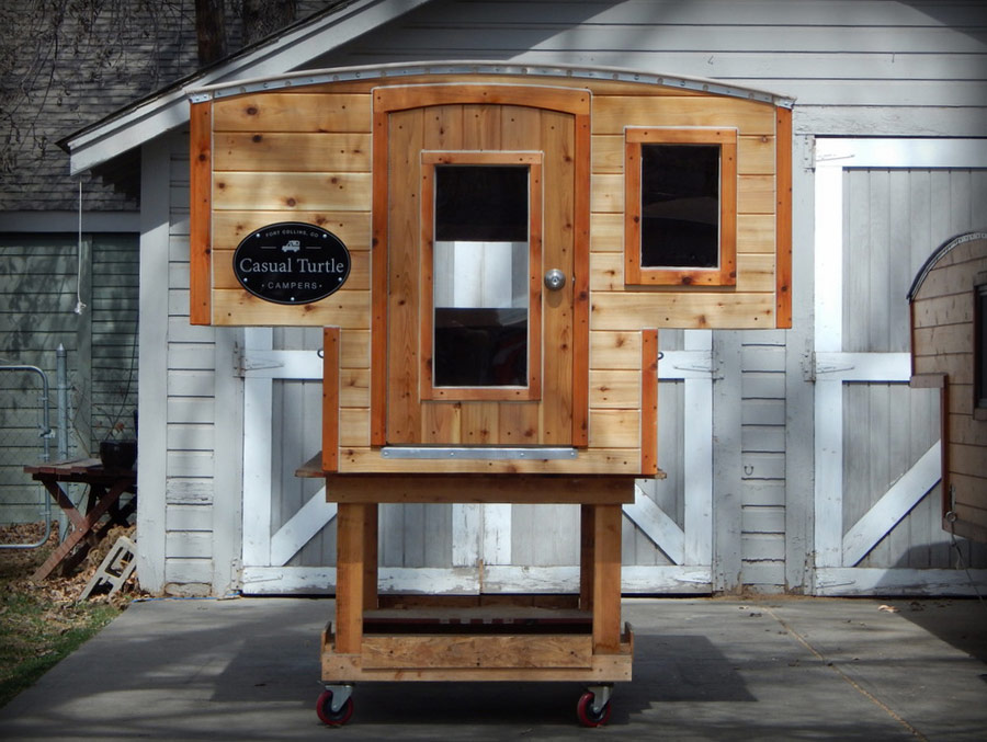 half-shell-casual-turtle-7