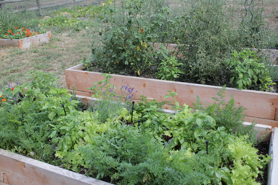 erin-and-dondis-tiny-house-8