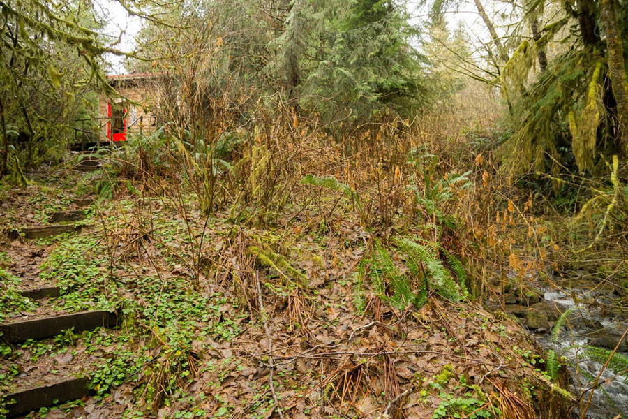 thimbleberry-creek-cabin-10