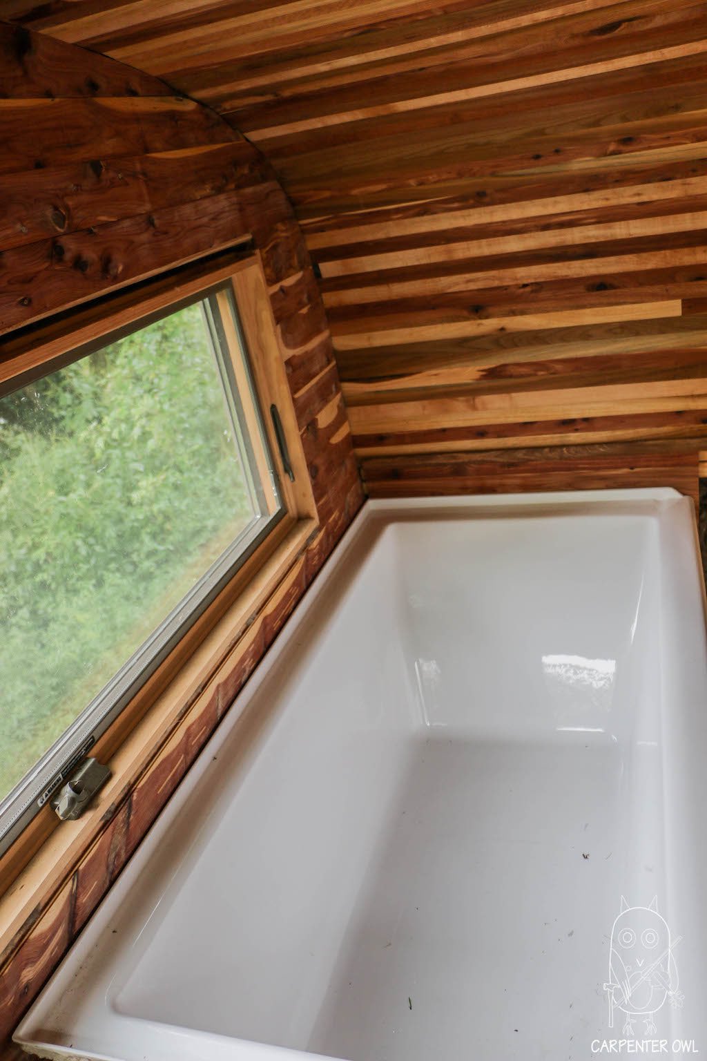 snails-away-carpenter-owl-12