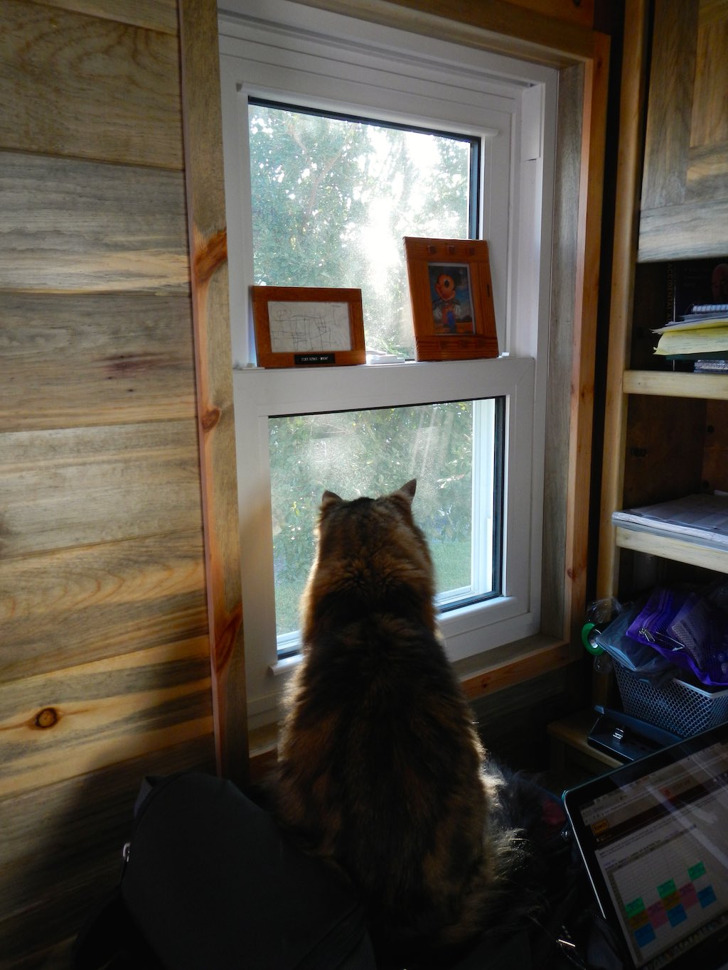 stephanis-tiny-house-college-student-10