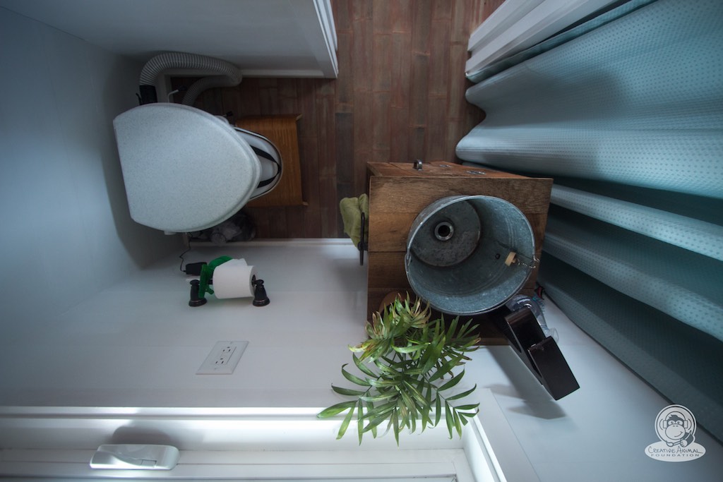 creative-animal-foundation-house-11