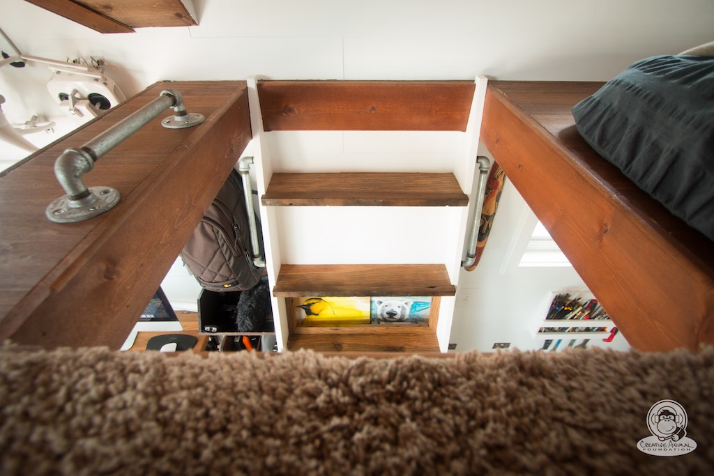 creative-animal-foundation-house-15