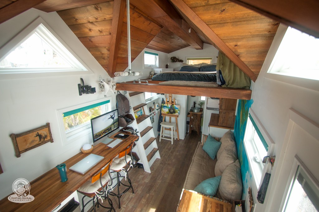 creative-animal-foundation-house-19