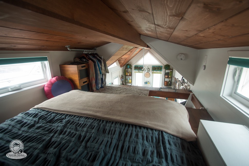 creative-animal-foundation-house-23