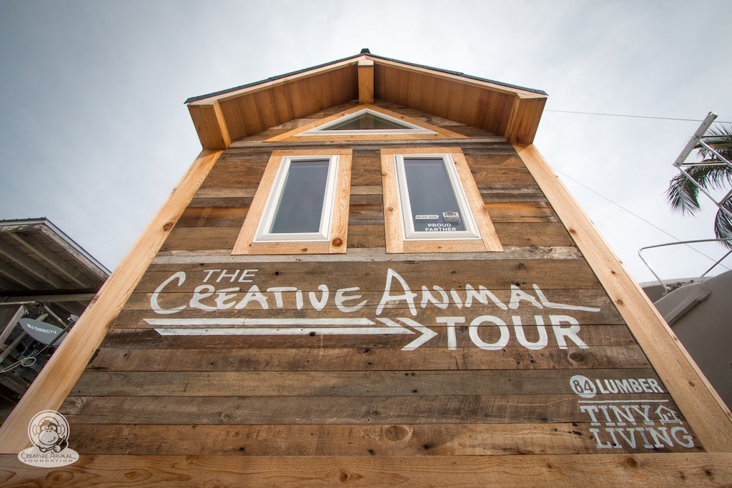 creative-animal-foundation-house-24