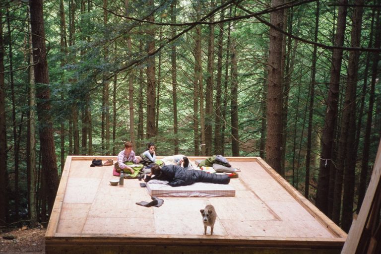 Beaver Brook Cabin Tiny House Swoon