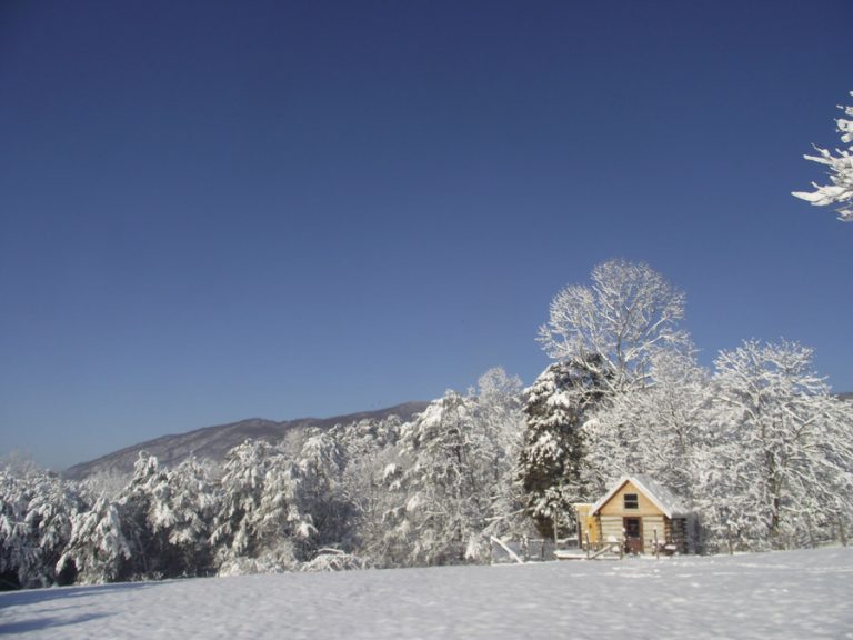 Arcadia Farm Cabin Tiny House Swoon