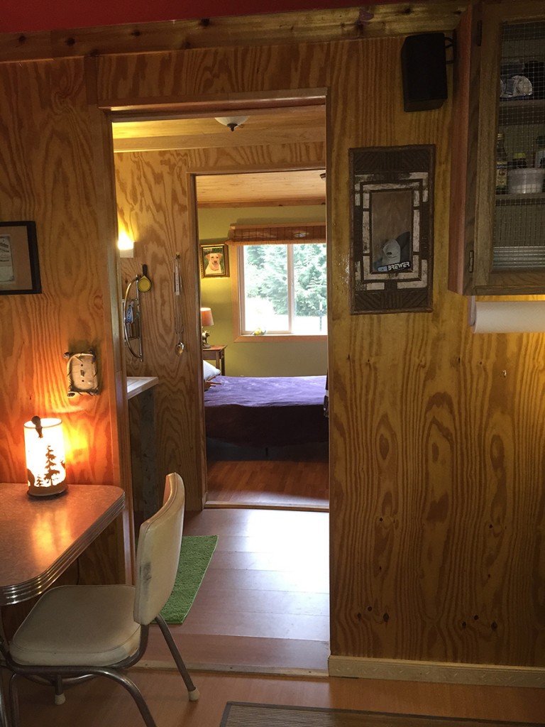Quilcene Cabin Tiny House Swoon