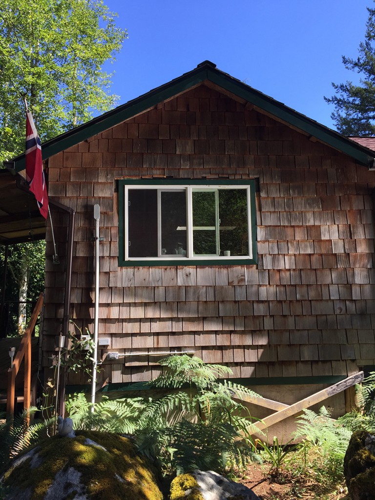Quilcene Cabin Tiny House Swoon